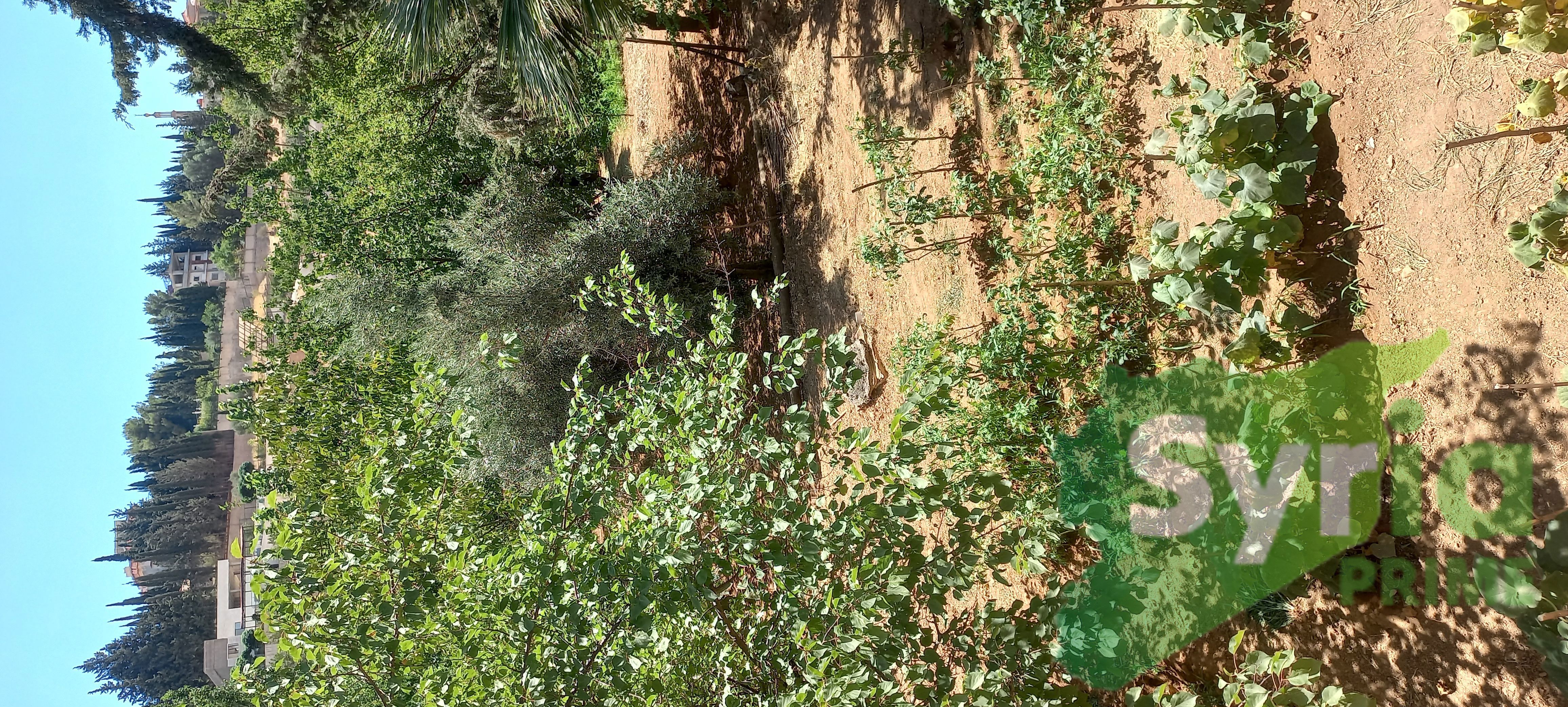Syria Prime - عقارات سوريا برايم -0 Sale Land RifDimashq 275000 USD