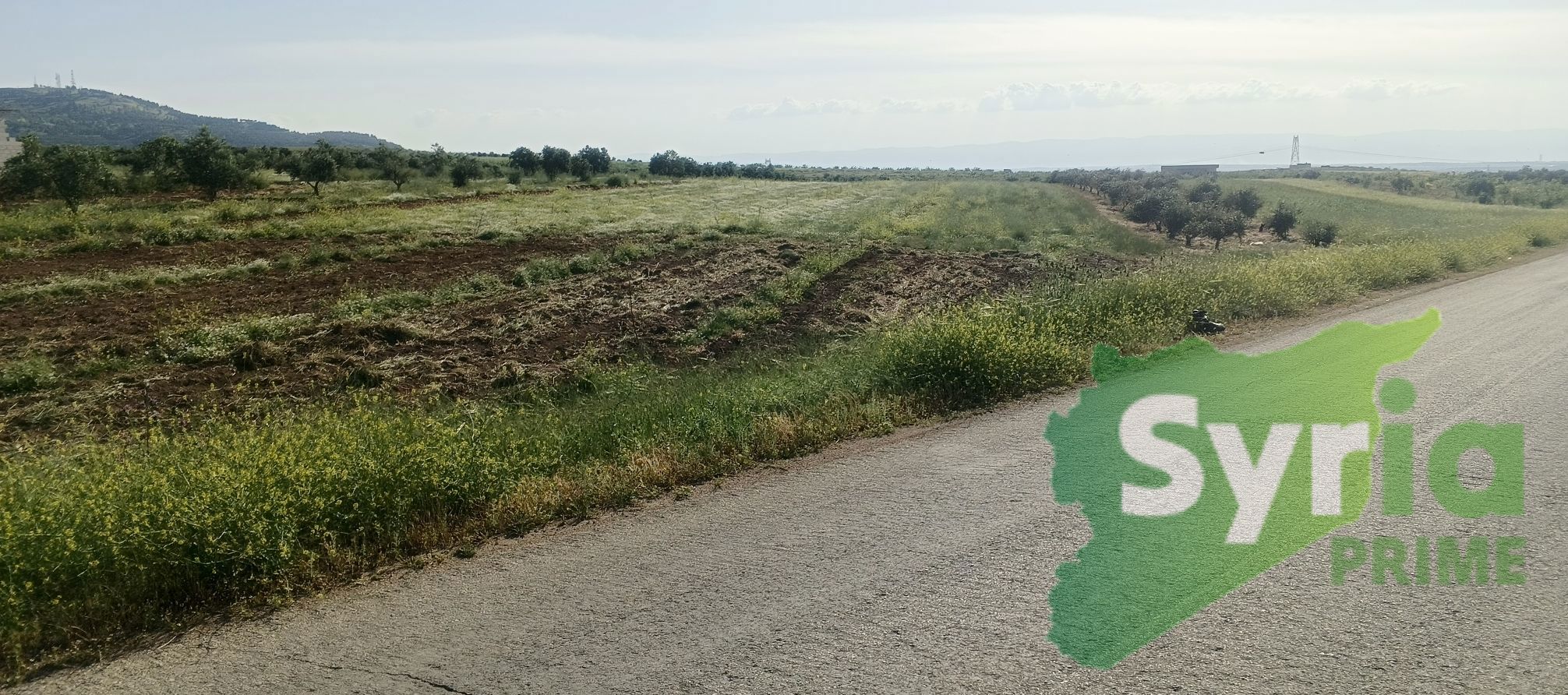 Syria Prime - عقارات سوريا برايم -0 Sale Land Hama 45500 USD