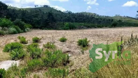 Syria Prime - عقارات سوريا برايم -1 Sale Land Latakia 16000 USD