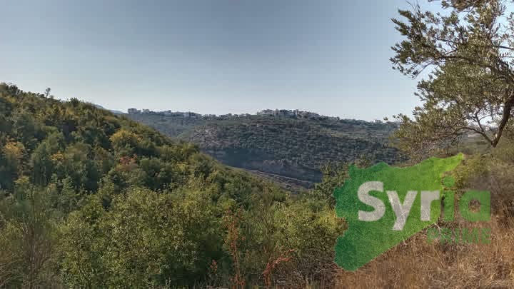 Syria Prime - عقارات سوريا برايم -2 Sale Land Tartus 100000 USD