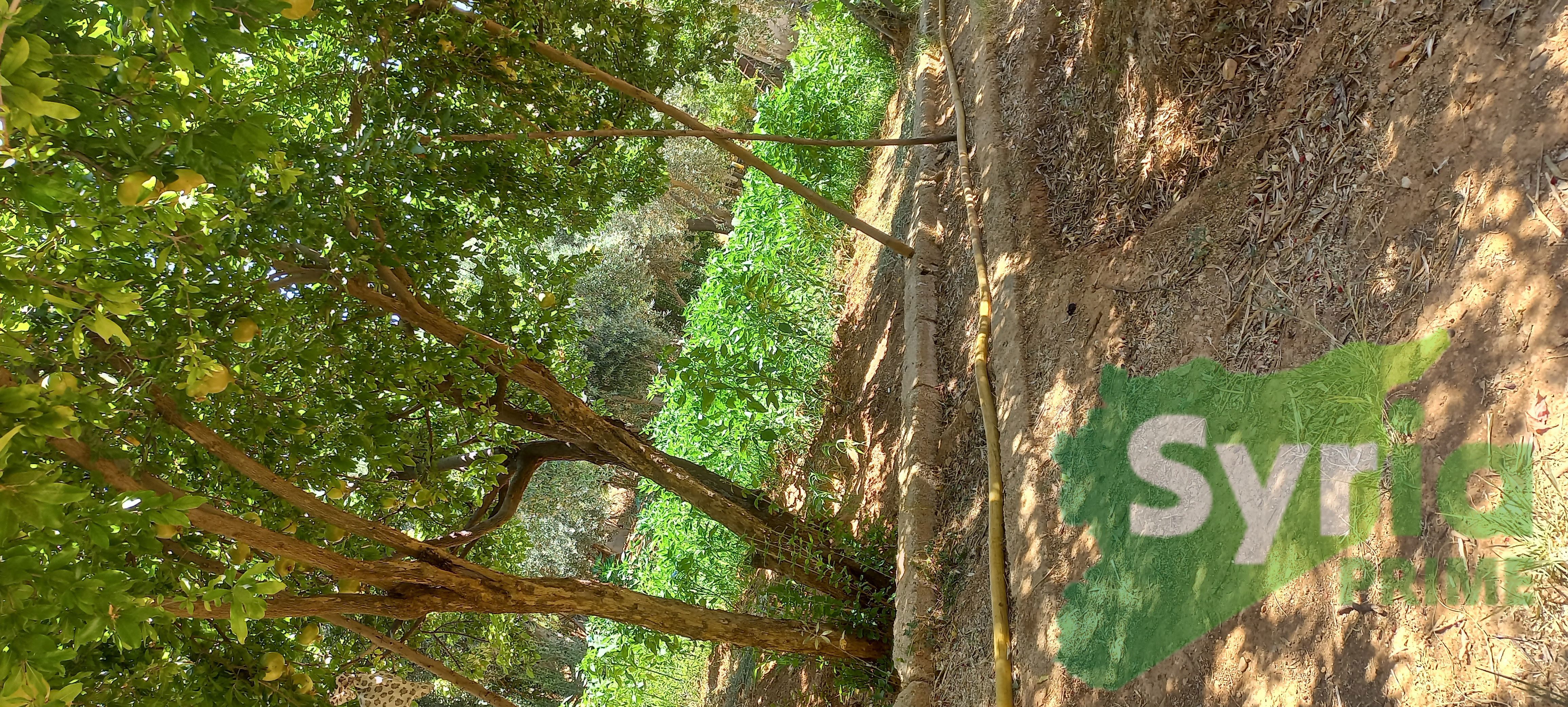 Syria Prime - عقارات سوريا برايم -2 Sale Land RifDimashq 275000 USD