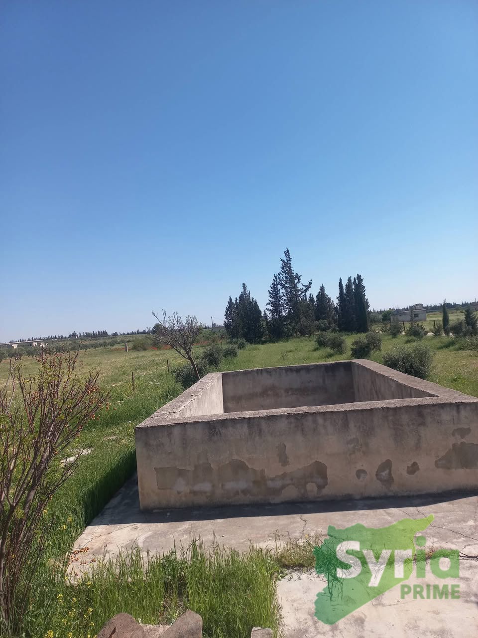 Syria Prime - عقارات سوريا برايم -1 Sale Farm Hama 70000000 SYP