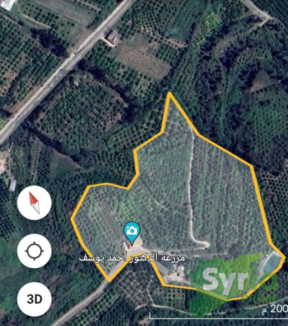 Syria Prime - عقارات سوريا برايم -5 Sale Farm Latakia 700000 USD