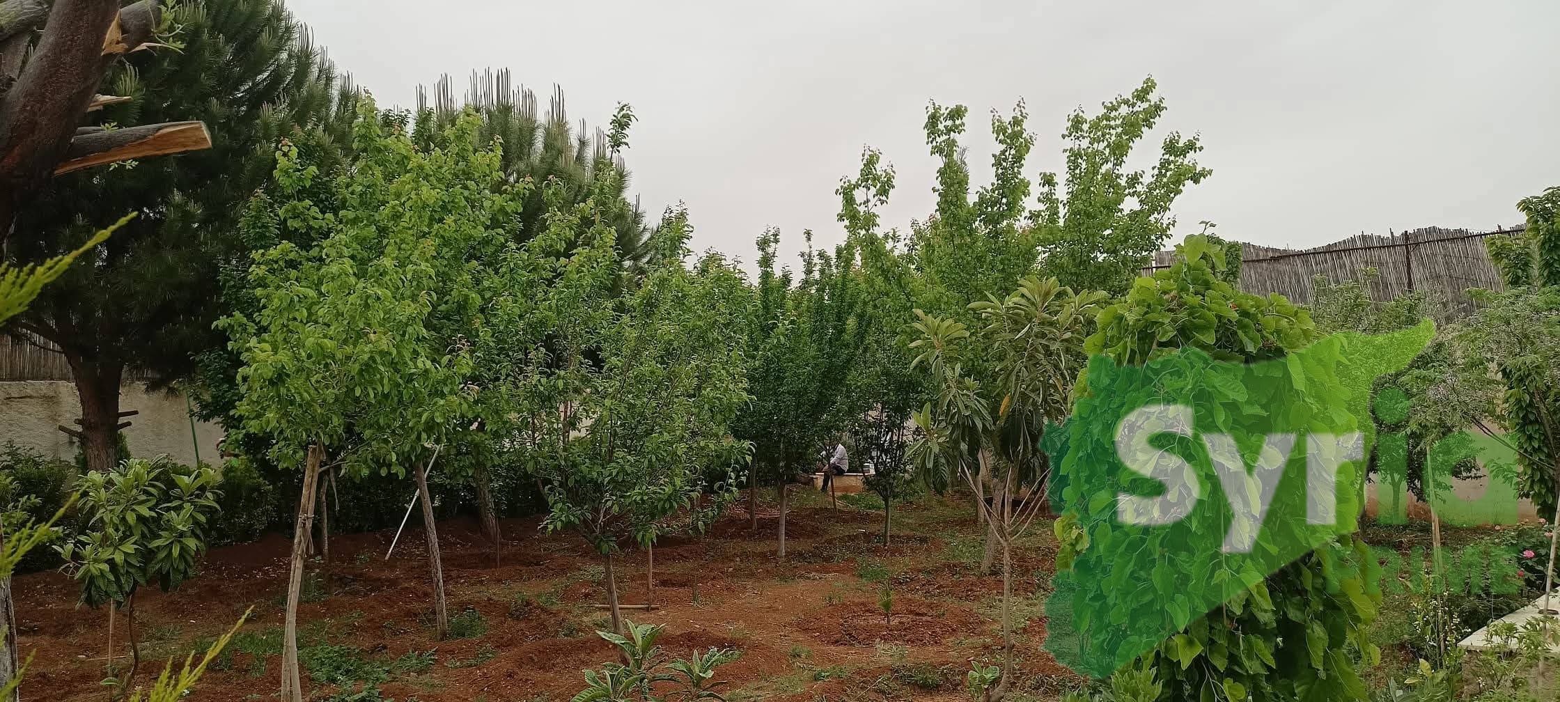 Syria Prime - عقارات سوريا برايم -4 Sale Villa RifDimashq 100000 USD