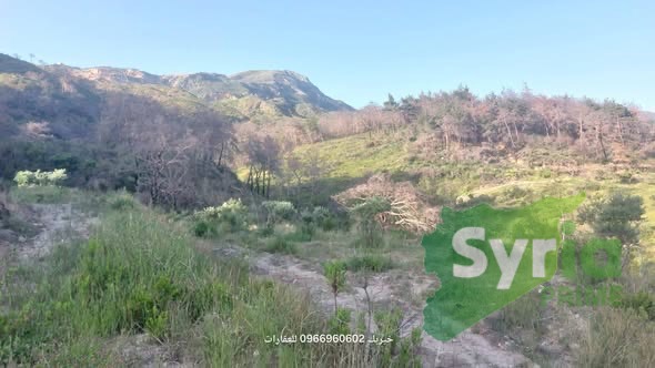 Syria Prime - عقارات سوريا برايم -0 Sale Land Latakia 150000000 SYP