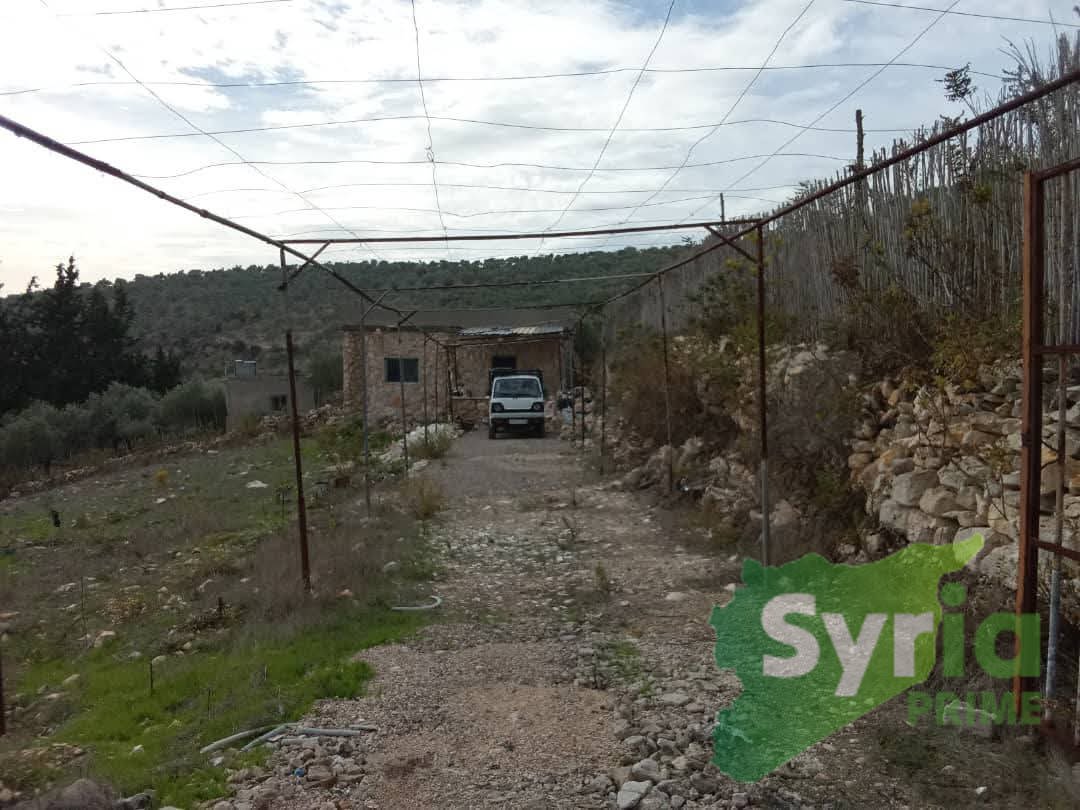 Syria Prime - عقارات سوريا برايم -2 Sale Farm Latakia 150000000 SYR