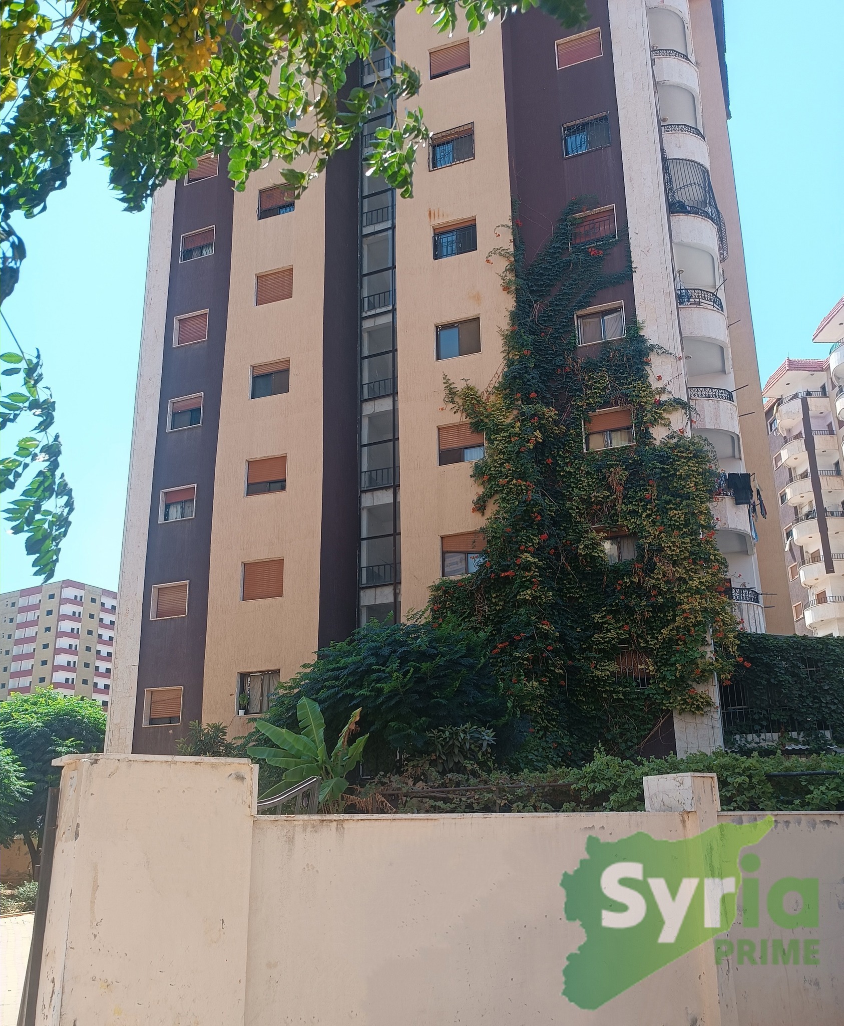 Syria Prime - عقارات سوريا برايم -1 Sale Flat Tartus 26000 USD