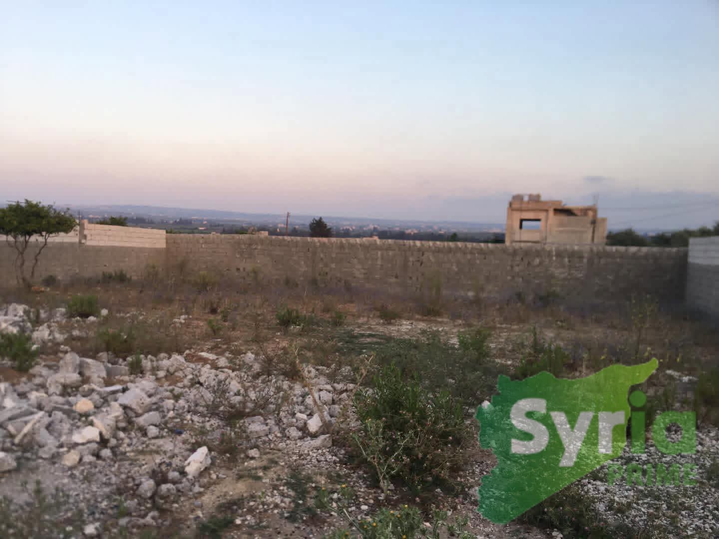 Syria Prime - عقارات سوريا برايم -5 Sale Farm Latakia 350000000 SYR