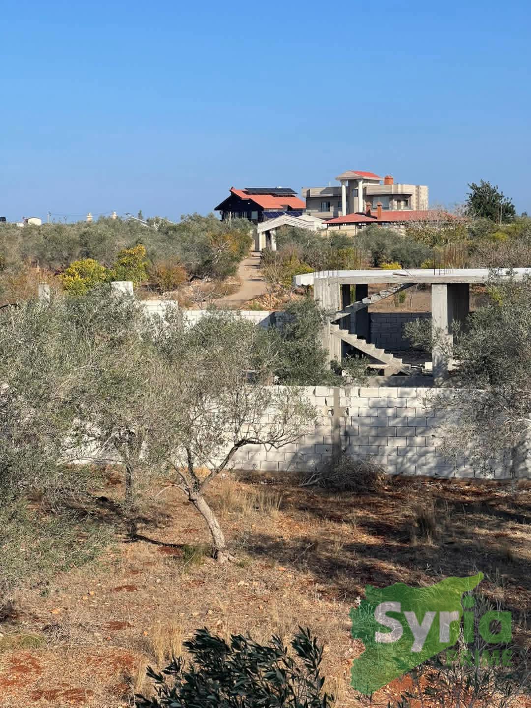 Syria Prime - عقارات سوريا برايم - gallery_5536 Sale Land Latakia 40000 USD
