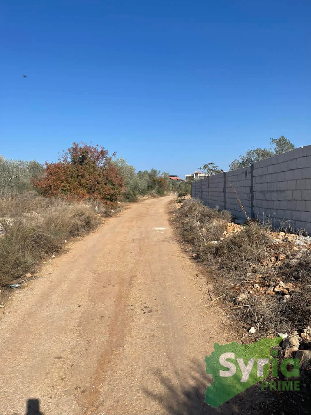 Syria Prime - عقارات سوريا برايم -5 Sale Land Latakia 40000 USD