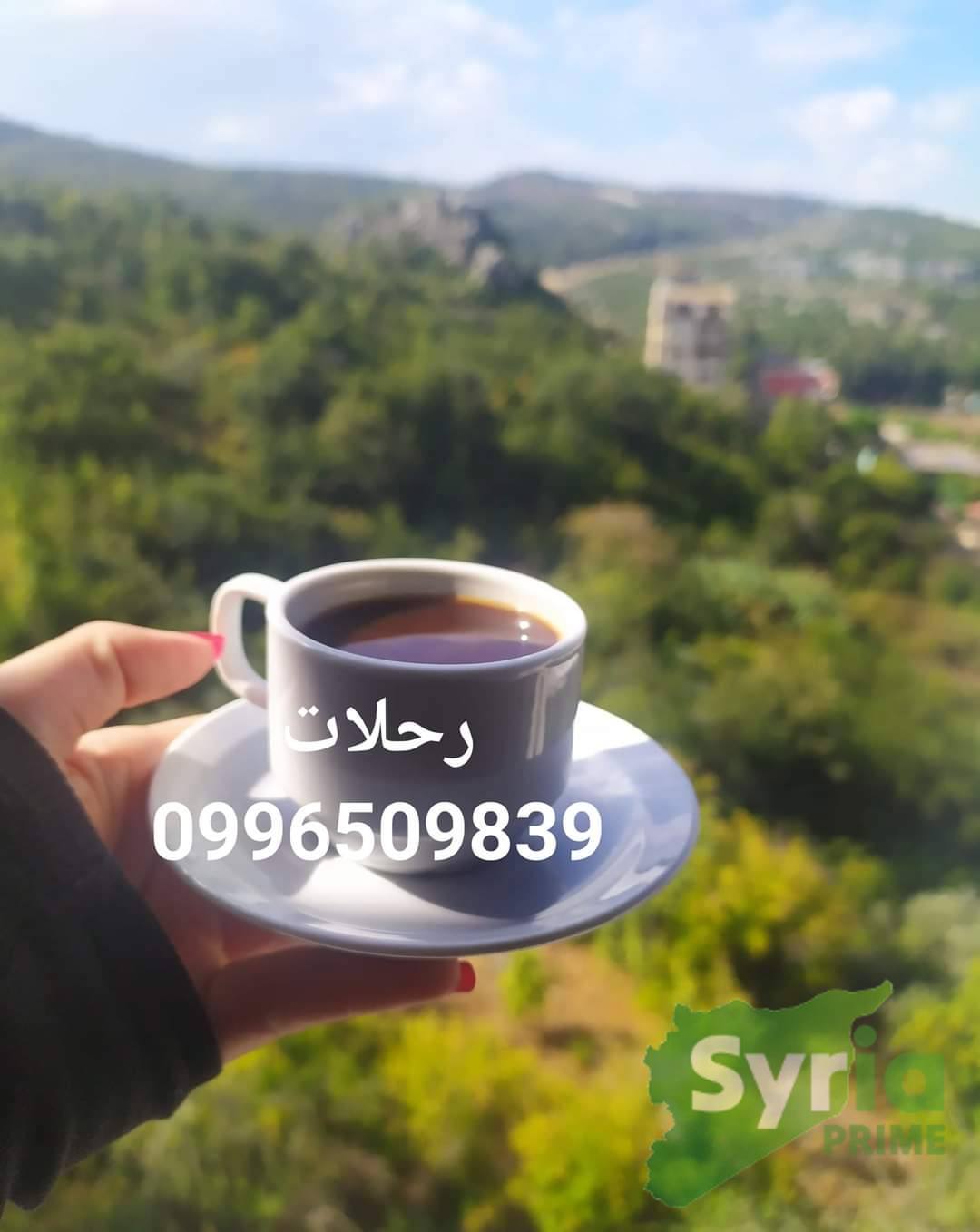 مؤسسة الاشقر للسياحة و السفر