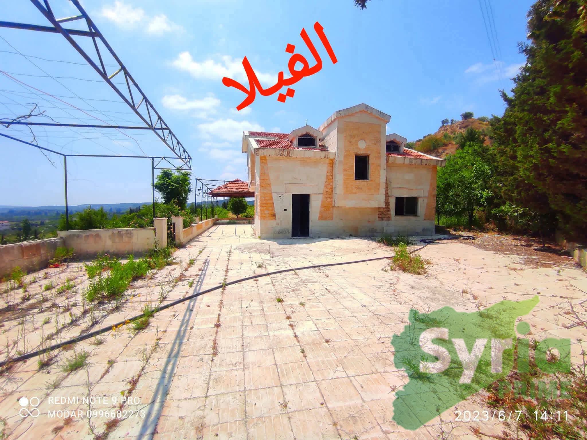 Syria Prime - عقارات سوريا برايم -1 Sale Farm Latakia 140000 USD