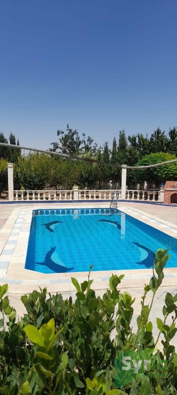 Syria Prime - عقارات سوريا برايم -2 Sale Farm RifDimashq 85000 USD
