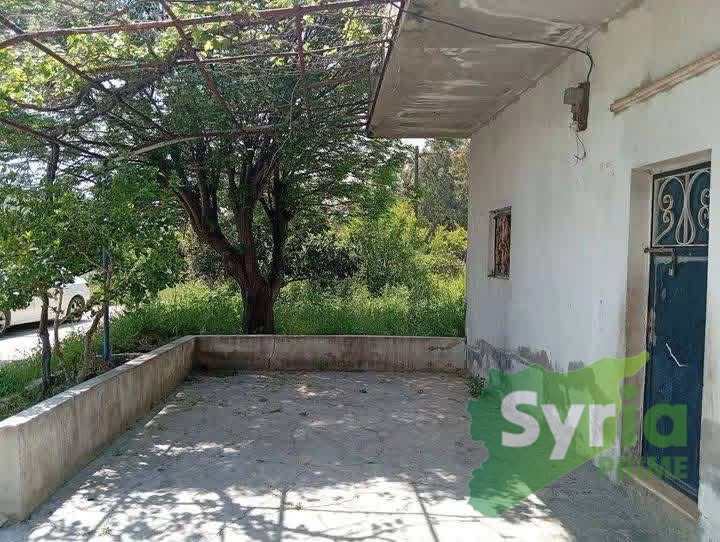 Syria Prime - عقارات سوريا برايم -2 Sale Farm Latakia 85000 USD