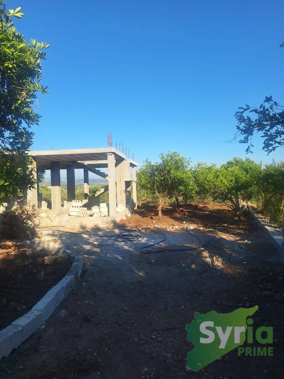 Syria Prime - عقارات سوريا برايم -1 Sale Farm Latakia 27000 USD
