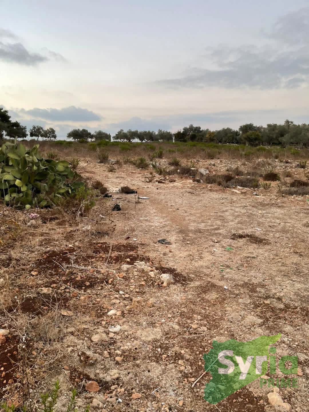 Syria Prime - عقارات سوريا برايم -0 Sale Land Latakia 22000 USD