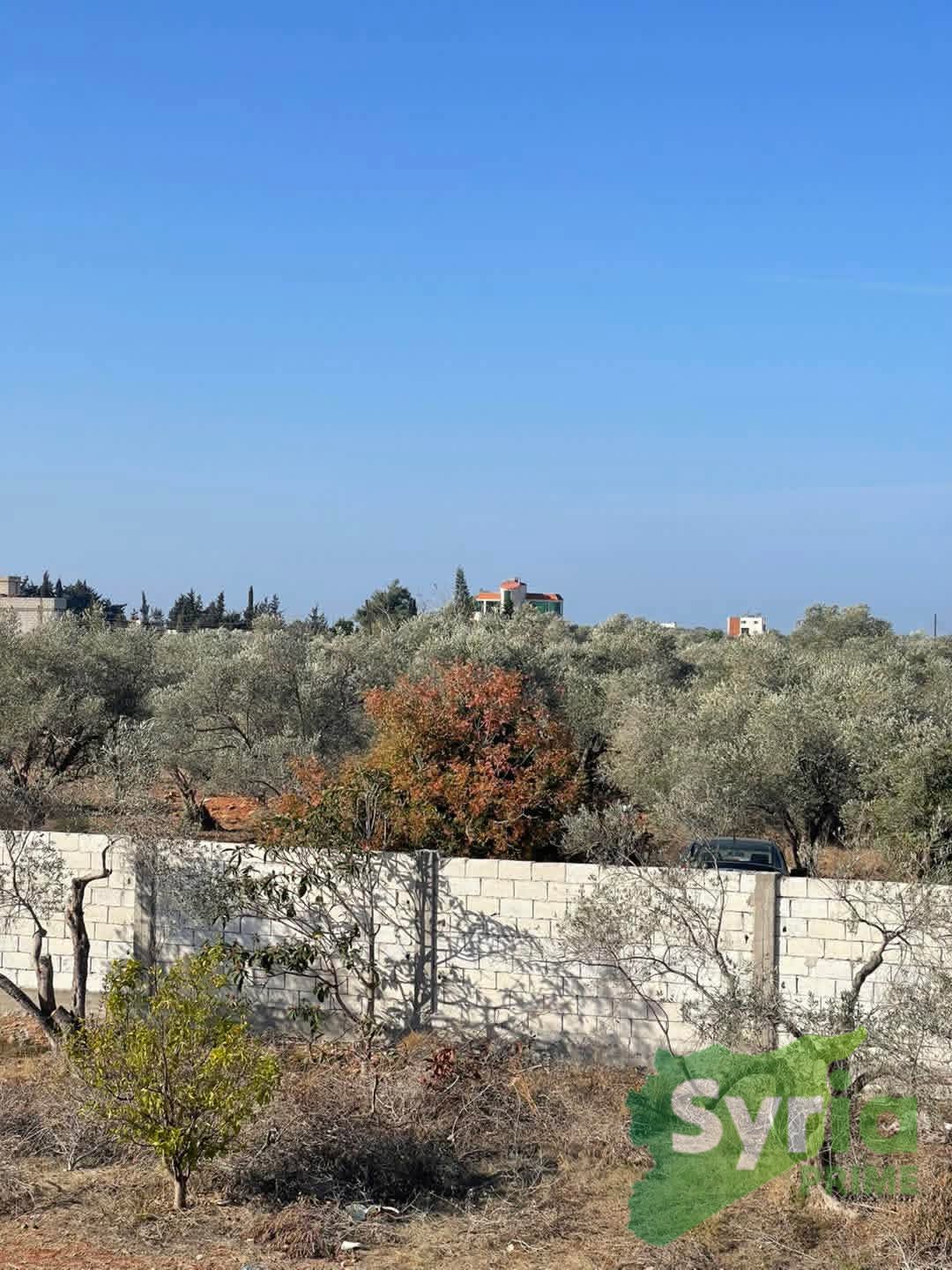 Syria Prime - عقارات سوريا برايم -2 Sale Land Latakia 40000 USD