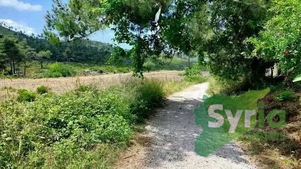 Syria Prime - عقارات سوريا برايم - gallery_7052 Sale Land Latakia 16000 USD