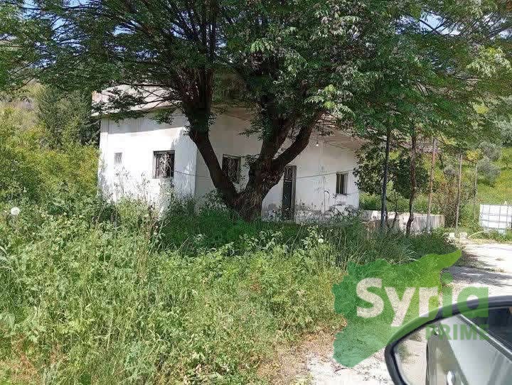 Syria Prime - عقارات سوريا برايم - gallery_11026 Sale Farm Latakia 85000 USD