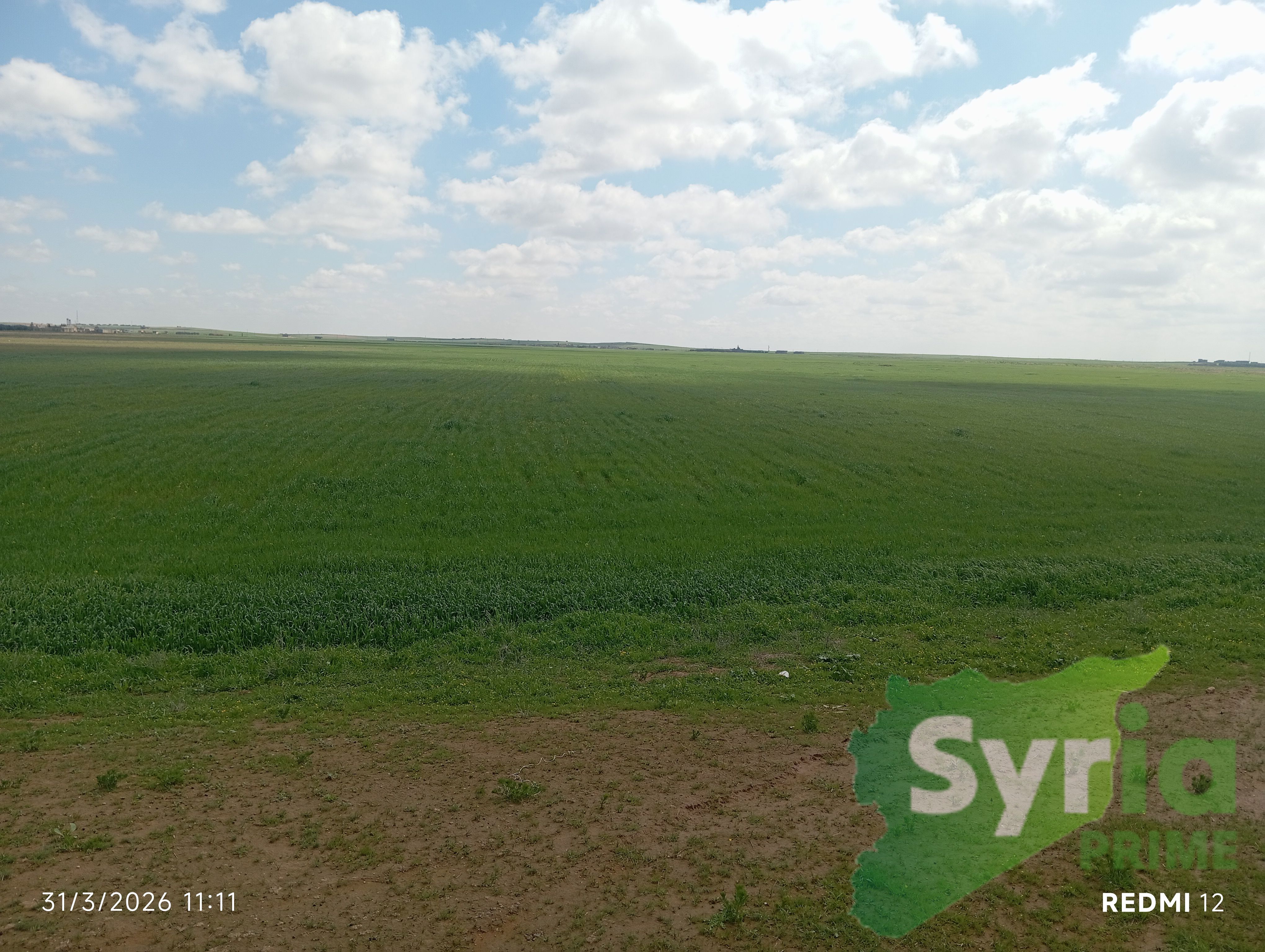 Syria Prime - عقارات سوريا برايم -3 Sale Land ArRaqqah 70000 USD