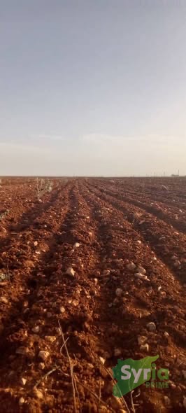 Syria Prime - عقارات سوريا برايم -1 Sale Land Homs 350000000 SYP