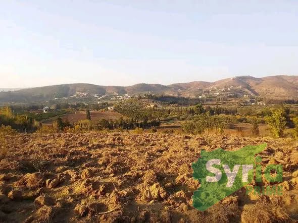 Syria Prime - عقارات سوريا برايم - gallery_6287 Sale Land Latakia 19000 USD