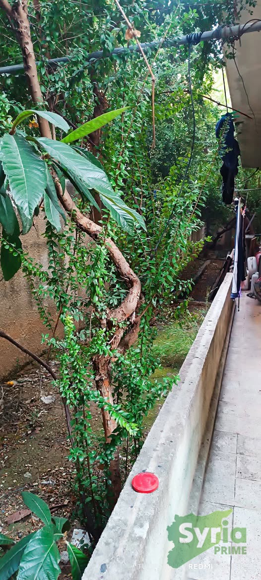 Syria Prime - عقارات سوريا برايم -1 Sale House Latakia 45000 USD