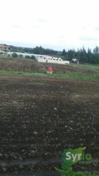 Syria Prime - عقارات سوريا برايم -1 Sale Farm Tartus 125000 USD