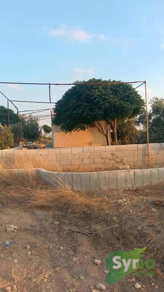 Syria Prime - عقارات سوريا برايم - Sale Farm Hama 260000000 SYP