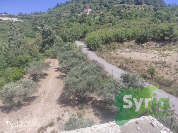 Syria Prime - عقارات سوريا برايم -2 Sale Land Latakia 90000 USD