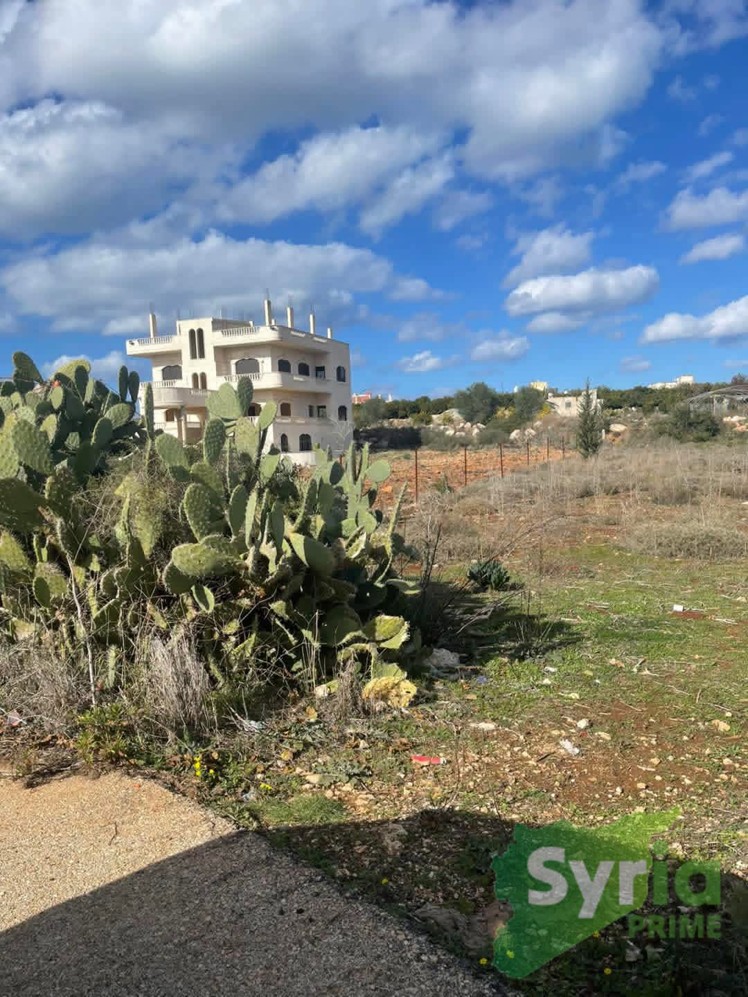 Syria Prime - عقارات سوريا برايم -2 Sale Land Latakia 130000000 SYR