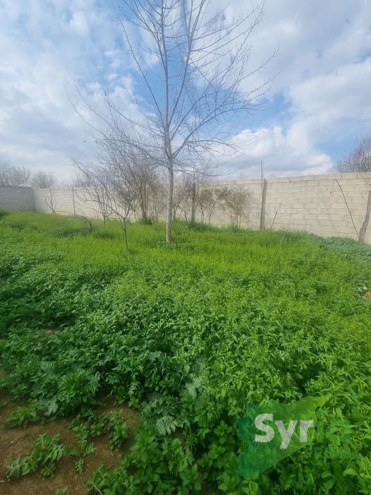 Syria Prime - عقارات سوريا برايم -0 Sale Land RifDimashq 14000 USD