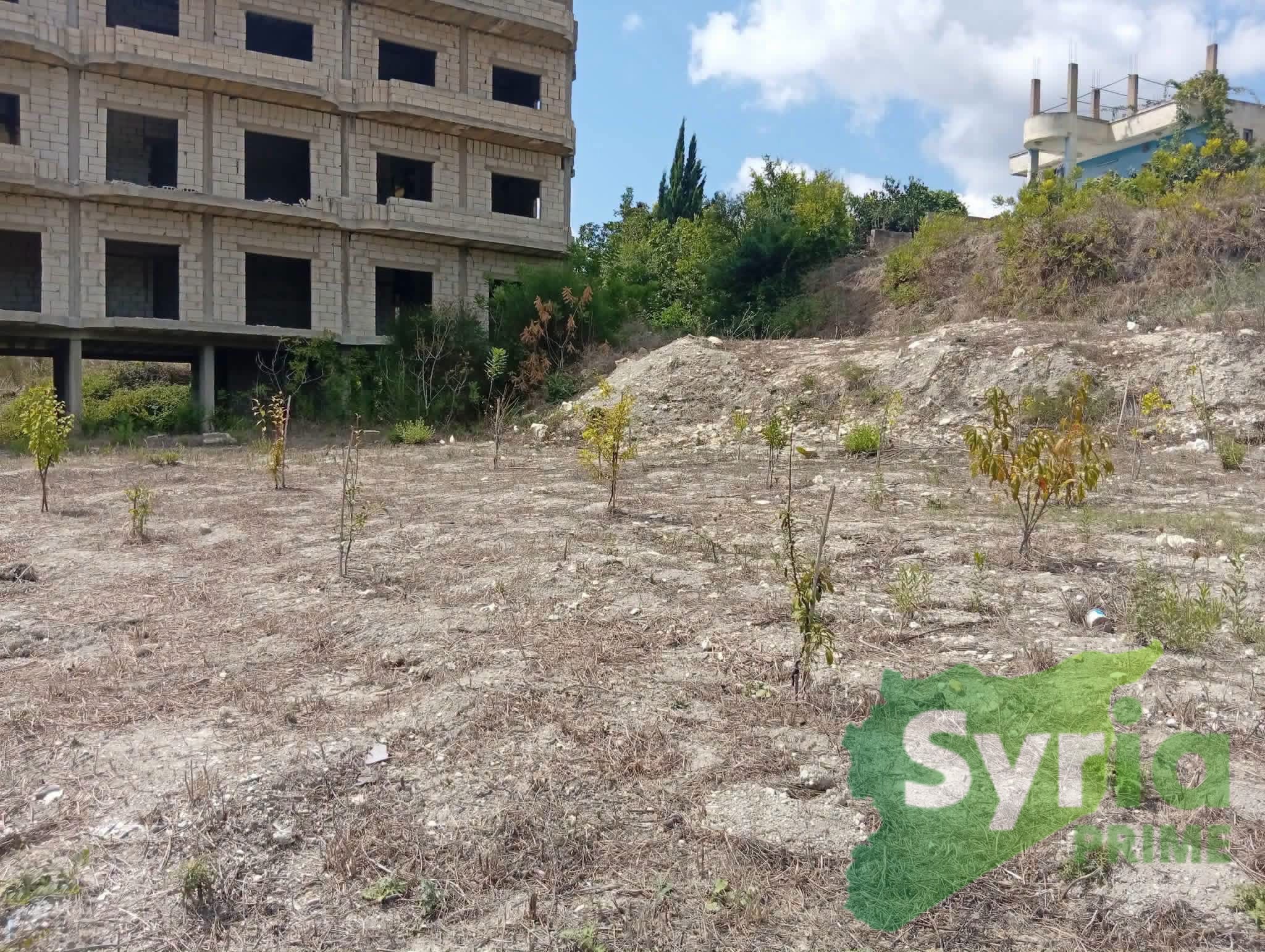 Syria Prime - عقارات سوريا برايم -2 Sale Land Latakia 25000 USD