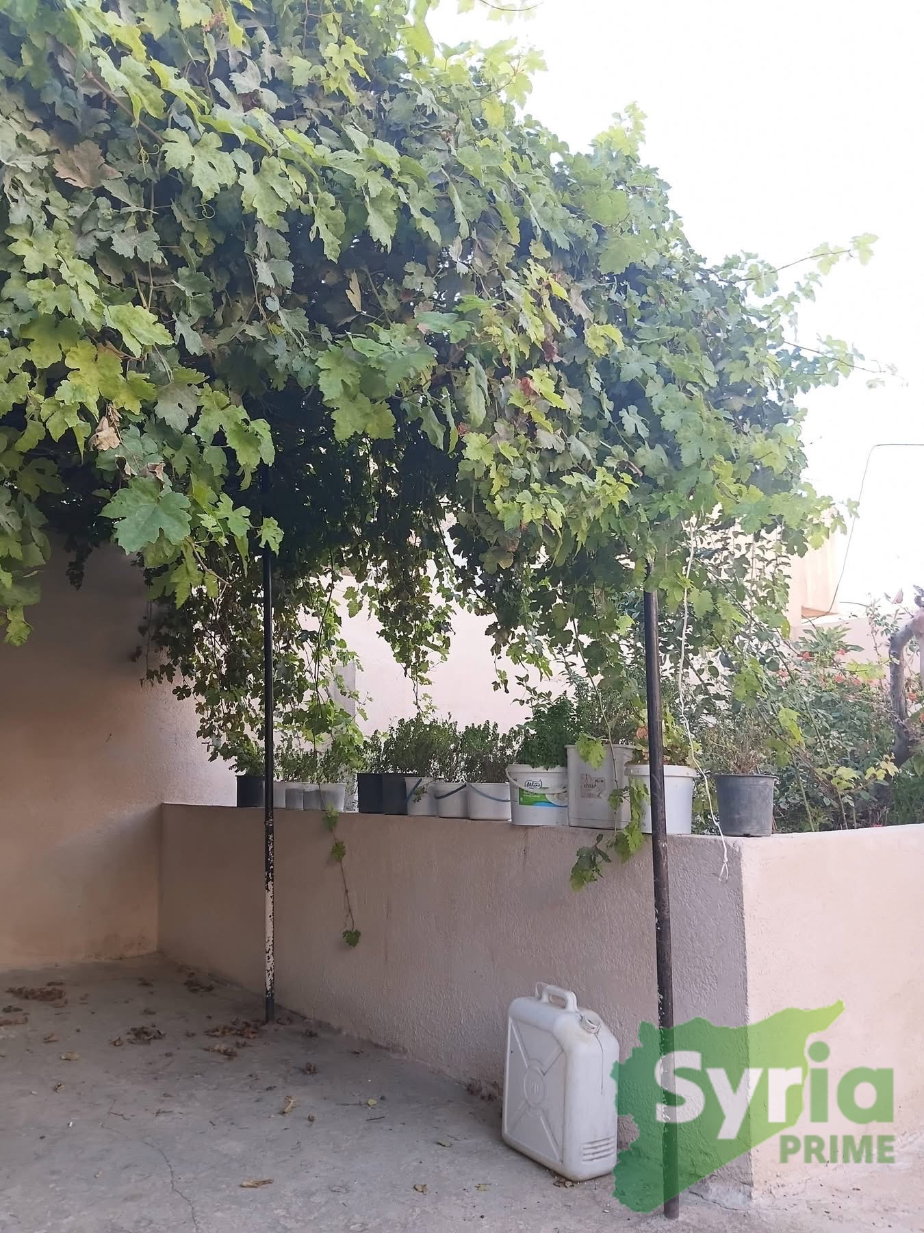 Syria Prime - عقارات سوريا برايم - Sale House Hama 300000000 SYP