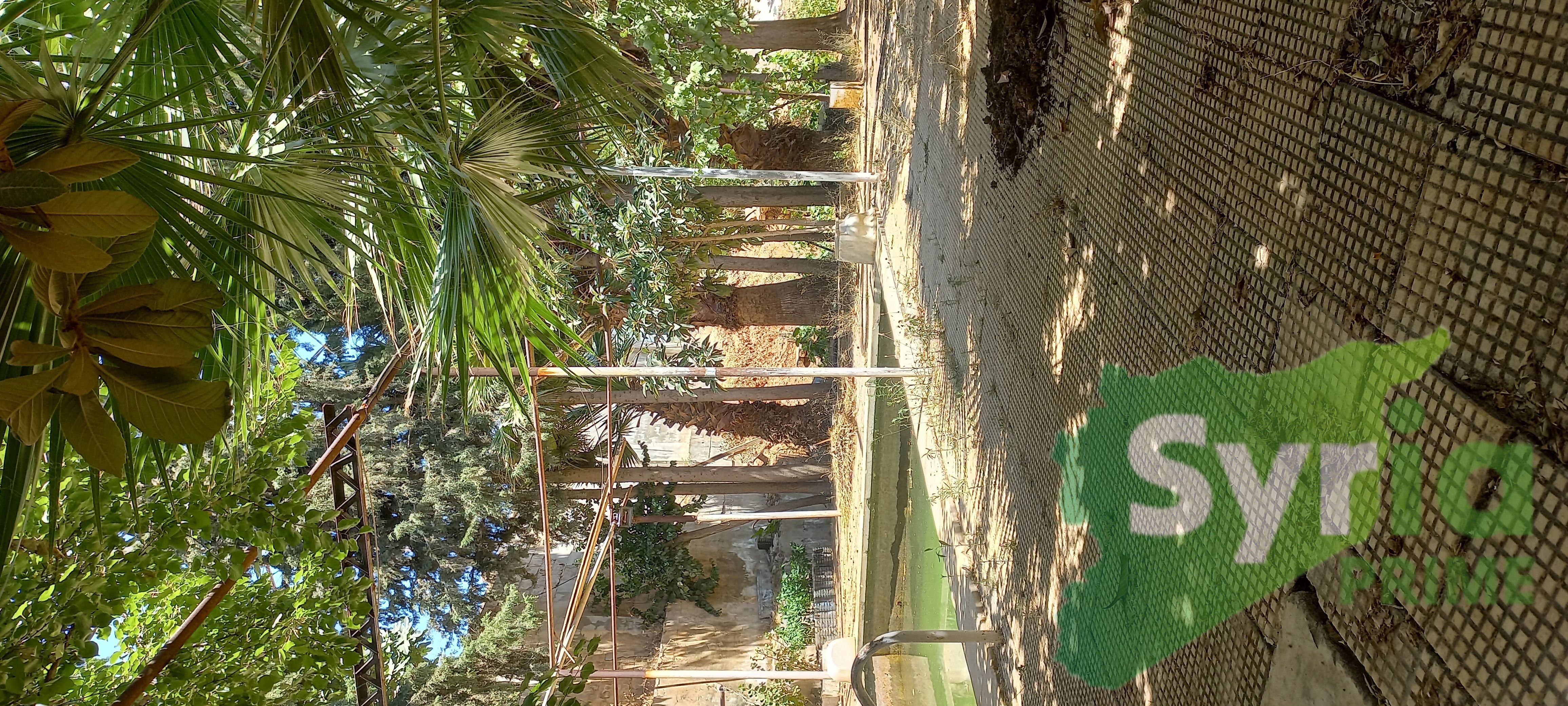 Syria Prime - عقارات سوريا برايم -6 Sale Land RifDimashq 275000 USD