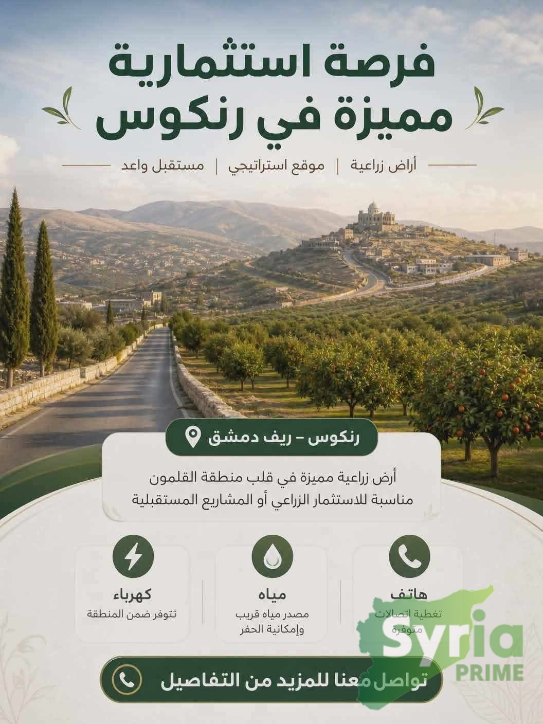 Syria Prime - عقارات سوريا برايم - gallery_11475 Sale Land RifDimashq 525000000 SYP