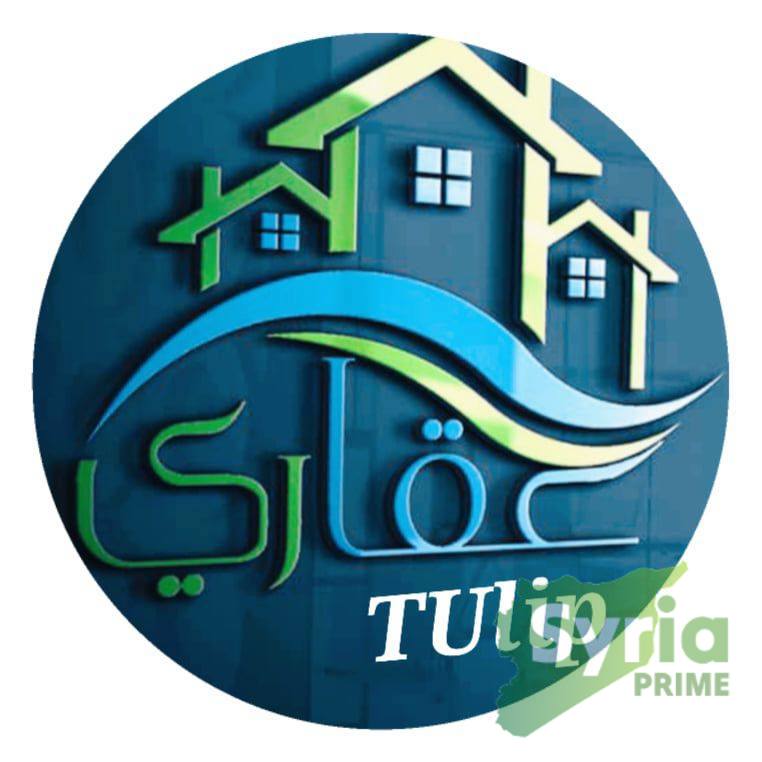 Tulip Real Estate Company