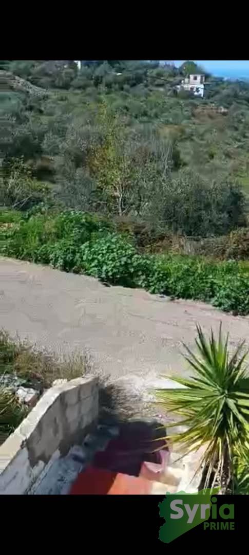 Syria Prime - عقارات سوريا برايم -1 Sale Flat Tartus 300000000 SYP