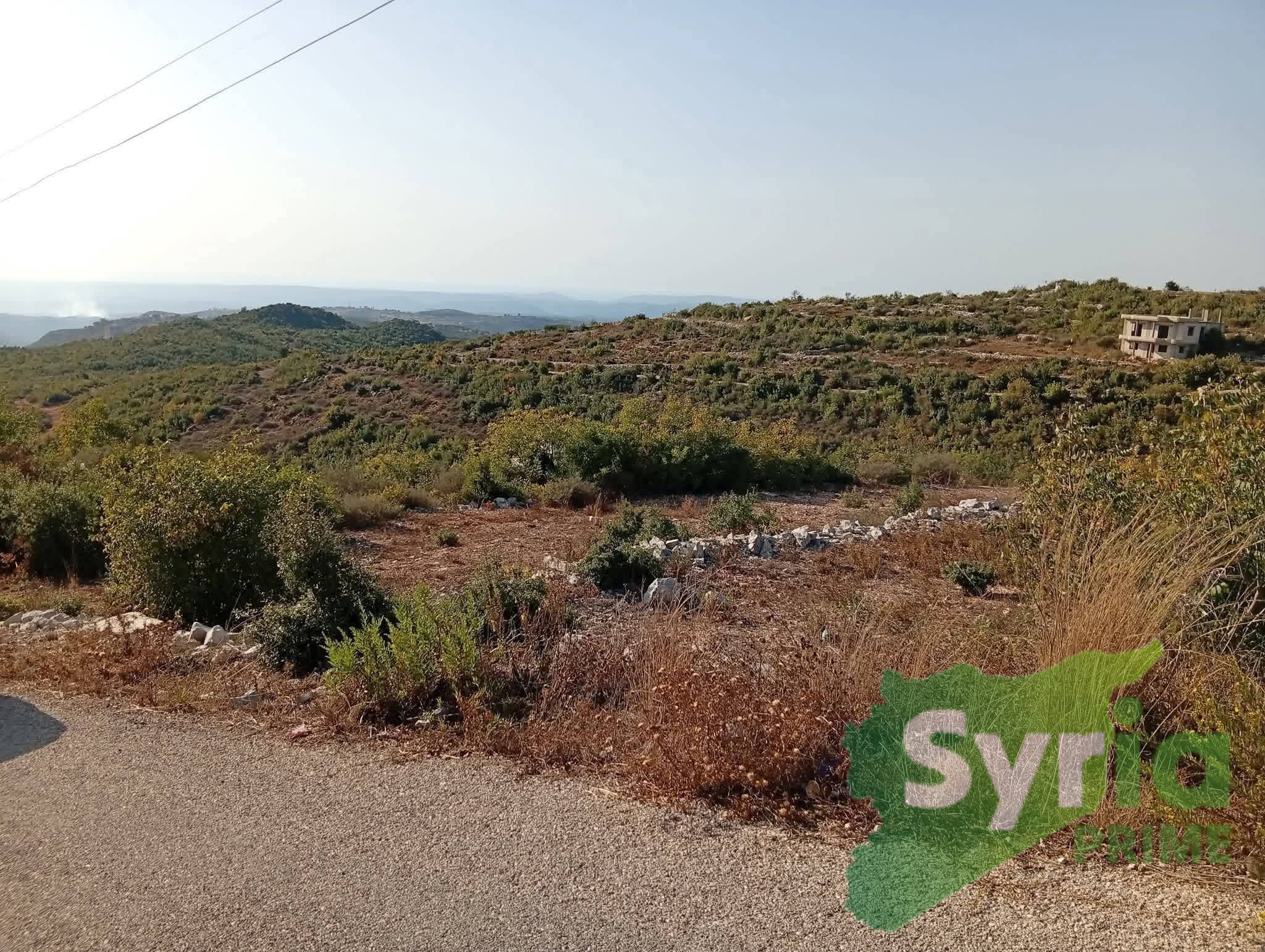 Syria Prime - عقارات سوريا برايم -0 Sale Land Latakia 17000 USD