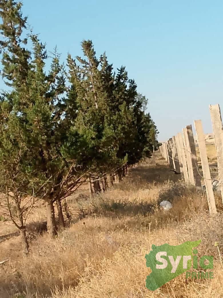 Syria Prime - عقارات سوريا برايم -2 Sale Farm ArRaqqah 400000 USD