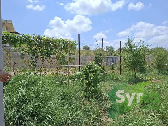Syria Prime - عقارات سوريا برايم -0 Sale Land Latakia 85000 USD