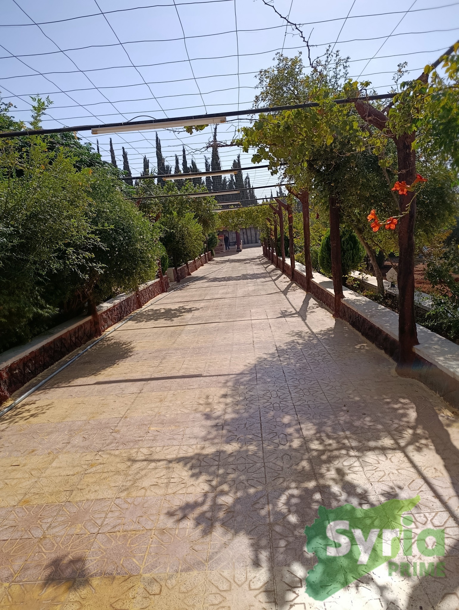 مزرعة في حلب
