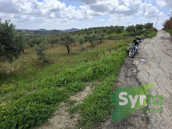 Syria Prime - عقارات سوريا برايم -1 Sale Land Latakia 9000 USD