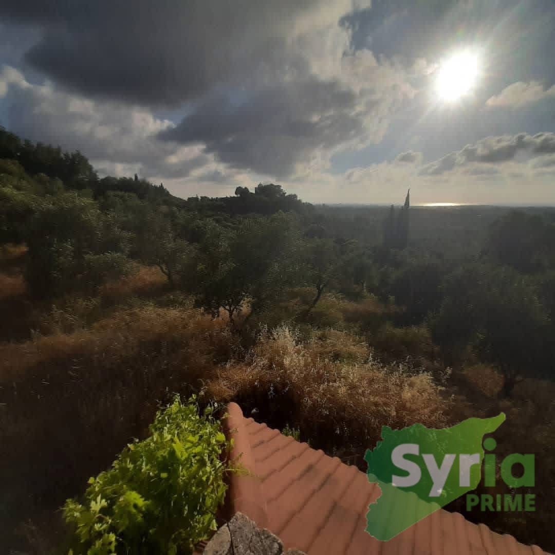 Syria Prime - عقارات سوريا برايم -1 Sale Land Latakia 400000000 SYP