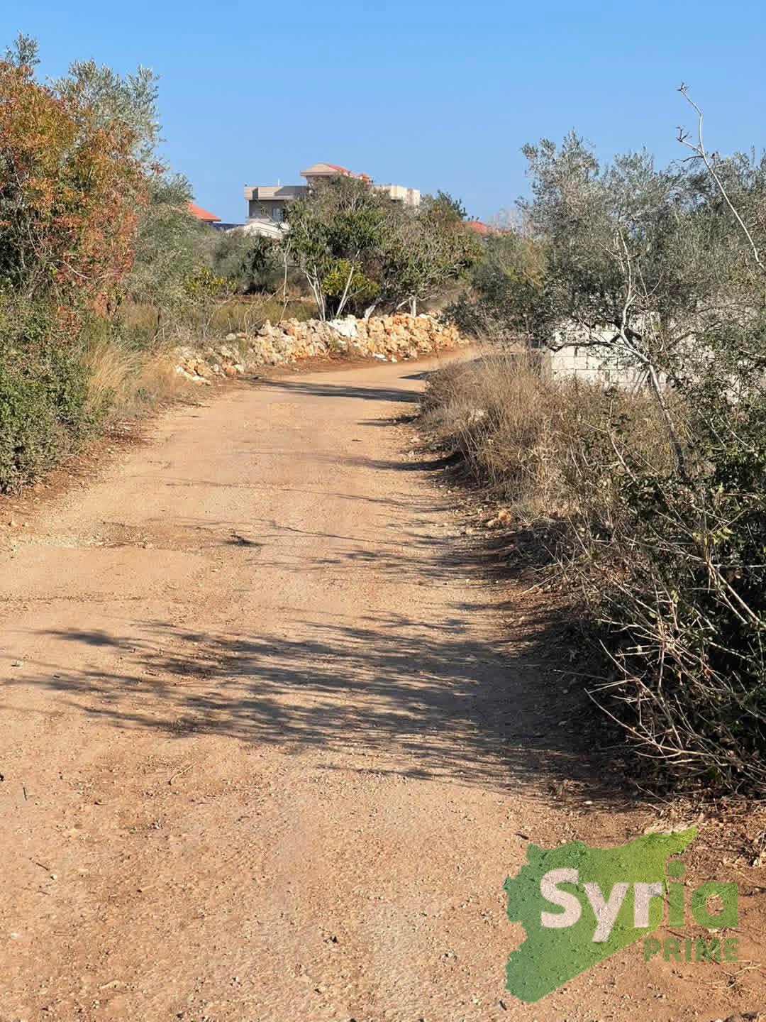 Syria Prime - عقارات سوريا برايم -3 Sale Land Latakia 40000 USD