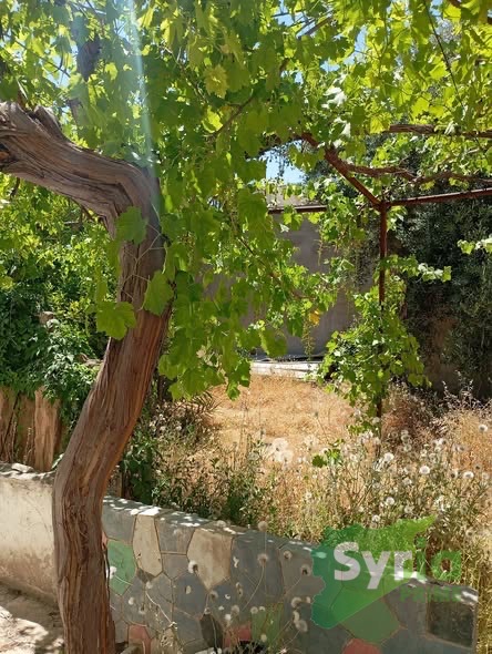 Syria Prime - عقارات سوريا برايم -0 Sale House Hama 300000000 SYP