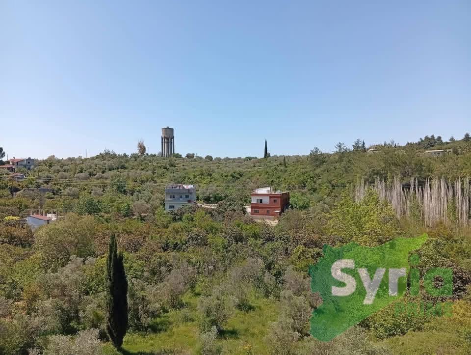 Syria Prime - عقارات سوريا برايم -1 Sale House Latakia 15000 USD