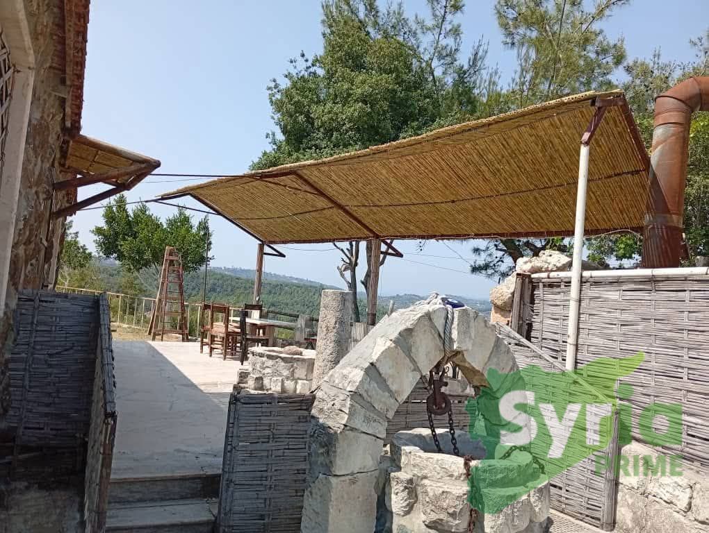 Syria Prime - عقارات سوريا برايم - gallery_6650 Sale Chalet Latakia 450000000 SYP
