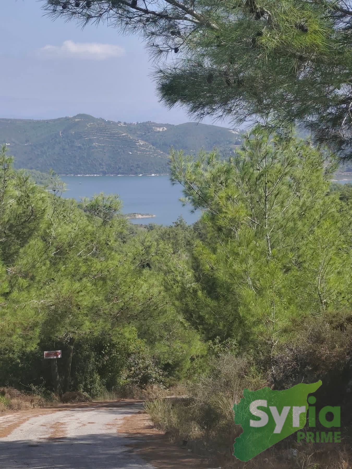 Syria Prime - عقارات سوريا برايم - gallery_14139 Sale Land Latakia 40000 USD