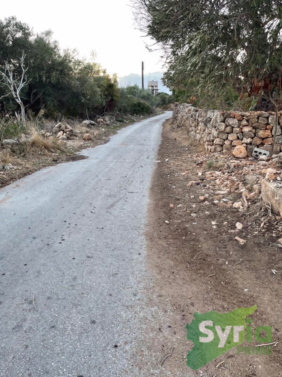 Syria Prime - عقارات سوريا برايم -14 Sale Land Latakia 40000 USD